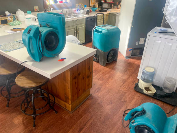  Bridgeport, TX Water damage restoration Pros