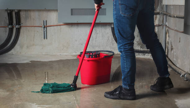 Best 24-hour water damage restoration  in Bridgeport, TX