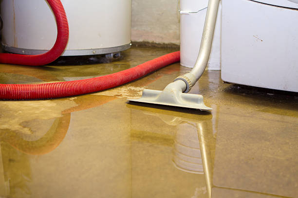 Carpet water damage restoration in Bridgeport, TX