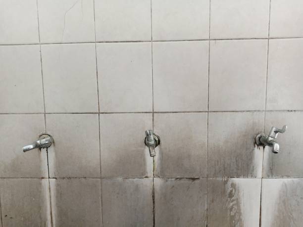 Best Professional water damage repair  in Bridgeport, TX