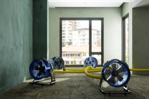 Best Water damage restoration near me  in Bridgeport, TX