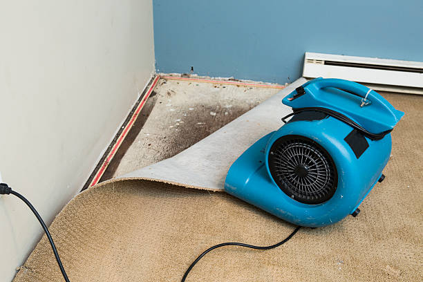 Water damage restoration experts in Bridgeport, TX